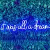 It-was-all-a-dream-neon-sign